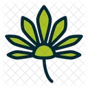 Hoja Cannabis Hoja De Marihuana Icono