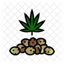 Cannabis Semillas Planta Icono