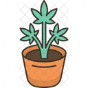 Cannabis Planta Marihuana Icono