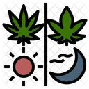 Cannabis Usage  Icon