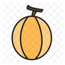 Cantaloupe  Icon