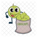 Cantaloupe  Icon