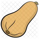 Cantaloupe Honey Dew Fruit Icon