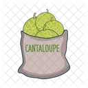 Cantaloupe Icono