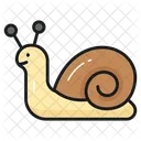 Caracol Animal Gasteropodo Icono