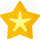 Carambola  Icon