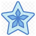 Carambola  Icon