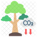 Carbon Offset  Icon