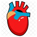 Cardiac Organ Circulatory Organ Pumping Organ 아이콘