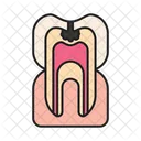 Caries Cavity Decay アイコン