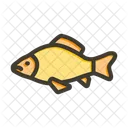 Carp  Icon