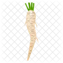 Carrot Vegetable Food Icon