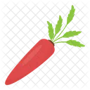 Carrot  Icon