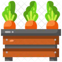 Carrot  Icon