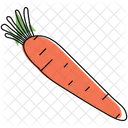 Carrot Organic Fresh Icône