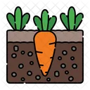 Carrot  Icon