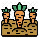 Carrot  Icon