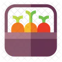 Carrot Vegetable Food Icon