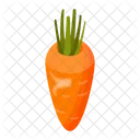 Carrot  Icon