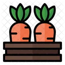 Carrot Basket Carrot Harvest Icon