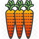 Carrots  Icon