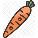 Carrots  Icon