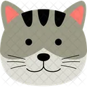 Cat  Icon