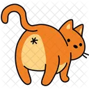 Cat Pet Animal Icon