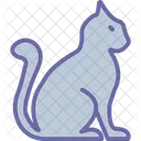 Cat Kitty Pet Icon