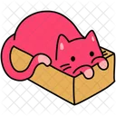 Cat Pet Feline Icon