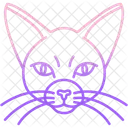 Cat  Icon