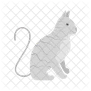 Cat  Icon