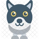 Cat Feline Coon Icon