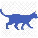 Cat Feline House Cat Icon