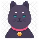 Cat  Icon