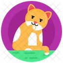 Cat  Icon