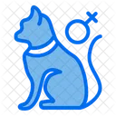 Cat  Icon