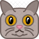 Cat Puss Tomcat Icon