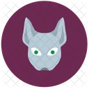 Cat  Icon