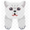 Cat Cat Face Pet Icon