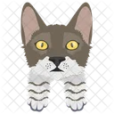 Cat Cat Face Pet Icon