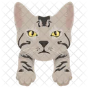 Cat Cat Face Pet Icon