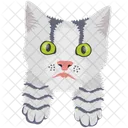 Cat Cat Face Pet Icon