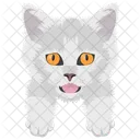 Cat Cat Face Pet Icon