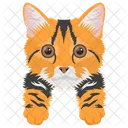 Cat Cat Face Pet Icon