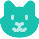 Cat  Icon