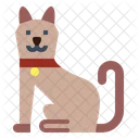 Cat  Icon