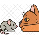 Cat  Icon