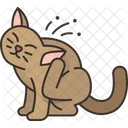 Cat Scratching Kitty Icon