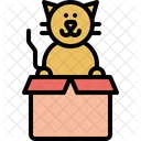 Gift Pussycat Domestic Icon